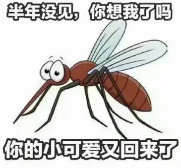 问鼎国际(中国区) - 官方网站